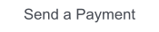 Send a Payment
