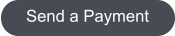 Send a Payment